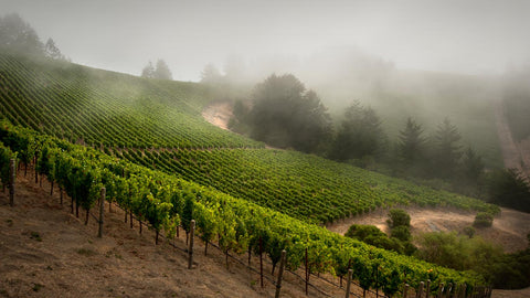 Santa Cruz Mountains