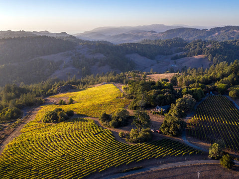 Sonoma Coast